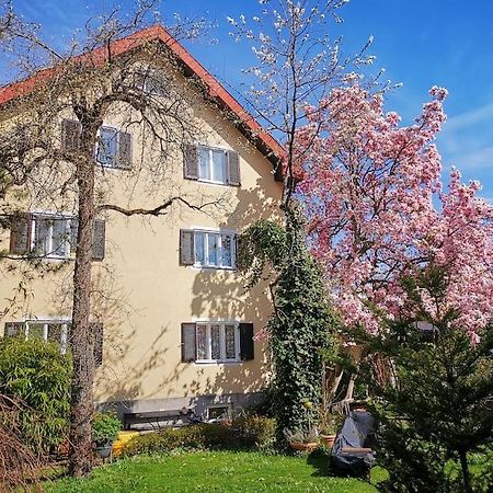 70Qm 3-Zimmer Apartment Am Tauernradweg In Hallein Bei Salzburg, Nahe Berchtesgaden, Rossfeld, Kehlsteinhaus, Obersalzberg, Watzmann, Schoenau Am Koenigsee, Bad Vigaun, Schloss Hellbrunn, Burg Hohen Salzburg, Burg Hohen Werfen # Beherbergungsbetrieb Εξωτερικό φωτογραφία
