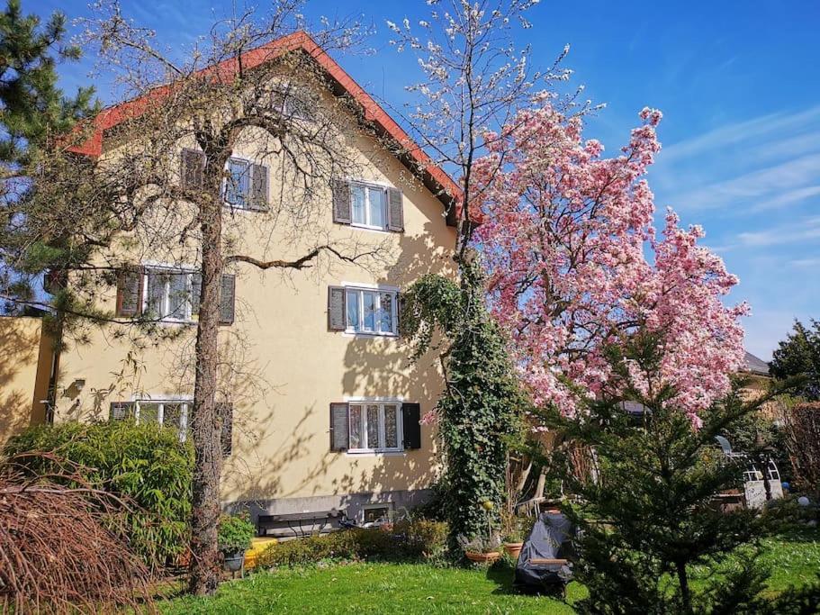 70Qm 3-Zimmer Apartment Am Tauernradweg In Hallein Bei Salzburg, Nahe Berchtesgaden, Rossfeld, Kehlsteinhaus, Obersalzberg, Watzmann, Schoenau Am Koenigsee, Bad Vigaun, Schloss Hellbrunn, Burg Hohen Salzburg, Burg Hohen Werfen # Beherbergungsbetrieb Εξωτερικό φωτογραφία